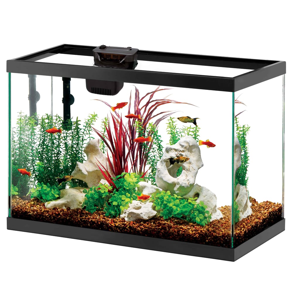 Kit de démarrage aquarium en verre Aqueon LED 75 litres avec filtre SmartClean