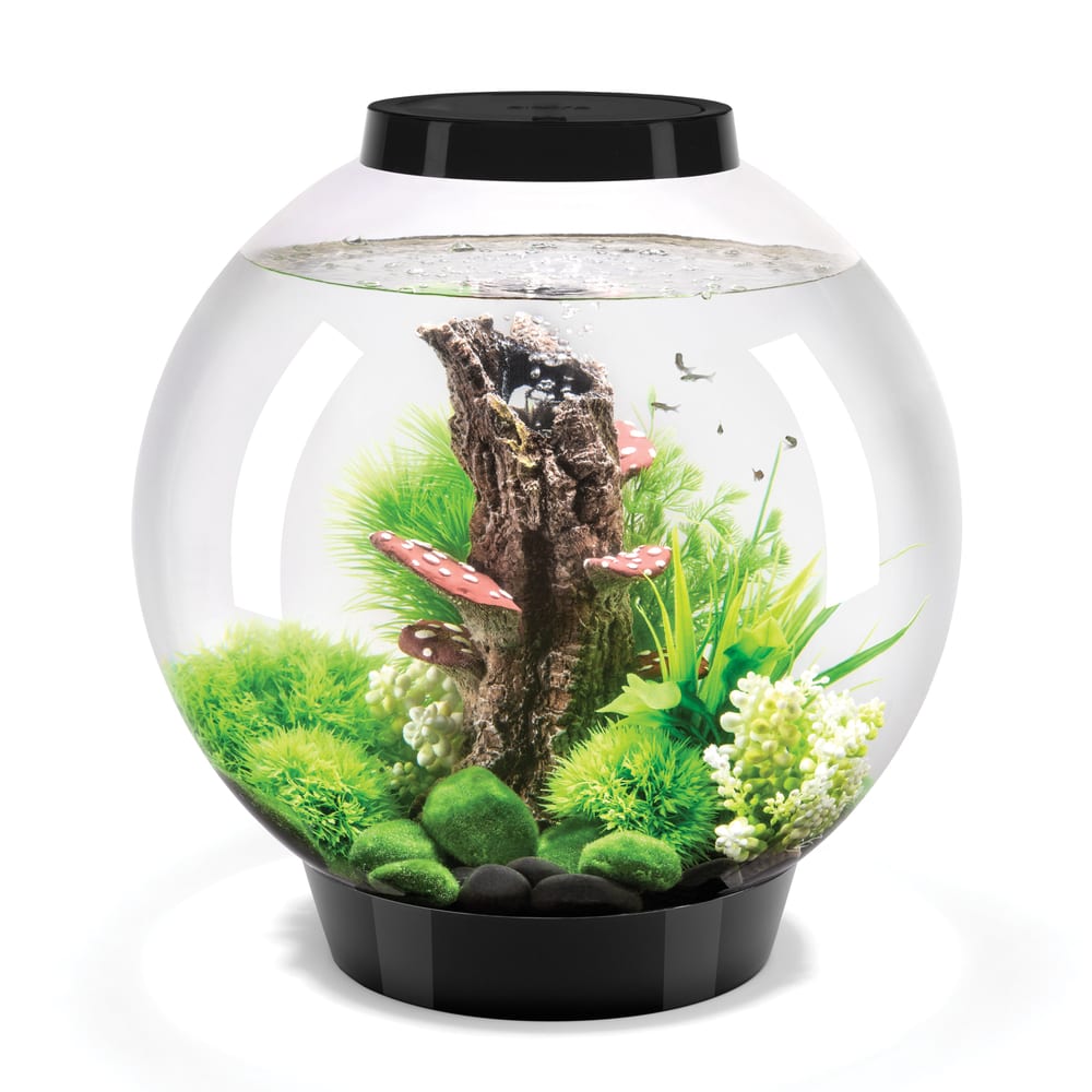 Aquarium sphérique en acrylique biOrb Classic 30, 30 litres, avec éclairage LED télécommandé