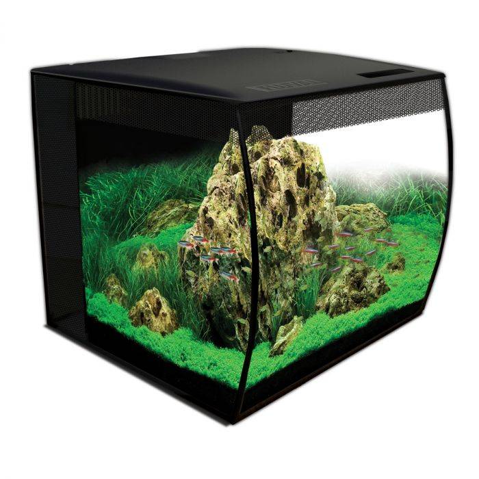 Aquarium Fluval Flex 15 gallons à façade incurvée de 57 litres avec éclairage LED RGBW