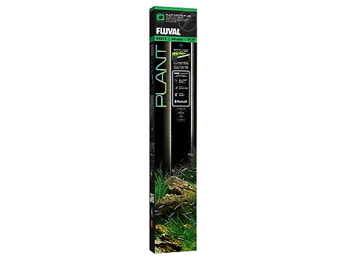 Rampe LED contrôlée par application Fluval Plant 3.0 installée au-dessus d'un aquarium planté