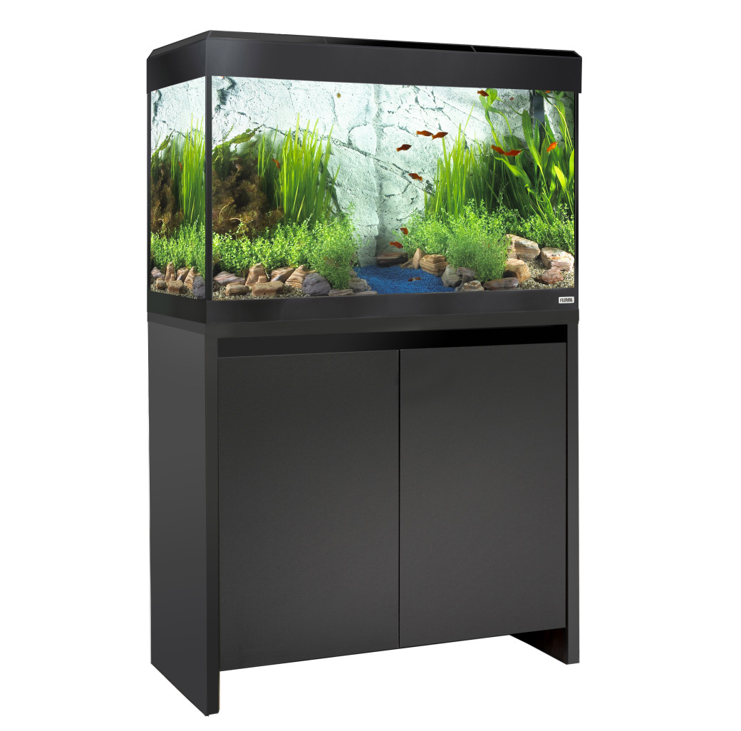 Aquarium Fluval Roma 125 litres en noir sur meuble assorti avec agencement planté