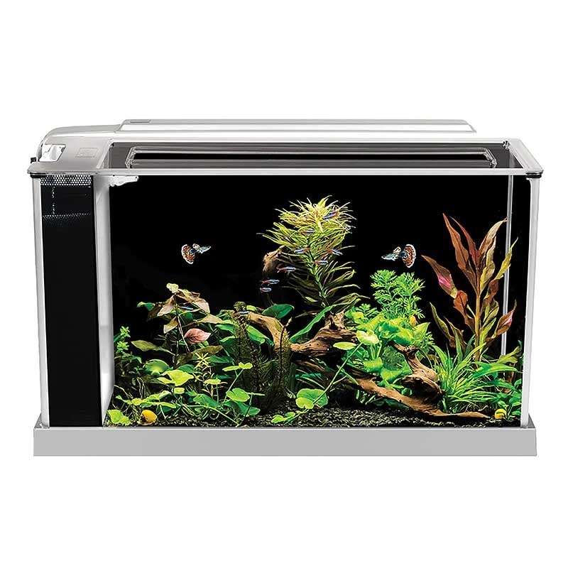 Aquarium nano Fluval Spec V de 19 litres avec filtration dissimulée et rampe LED