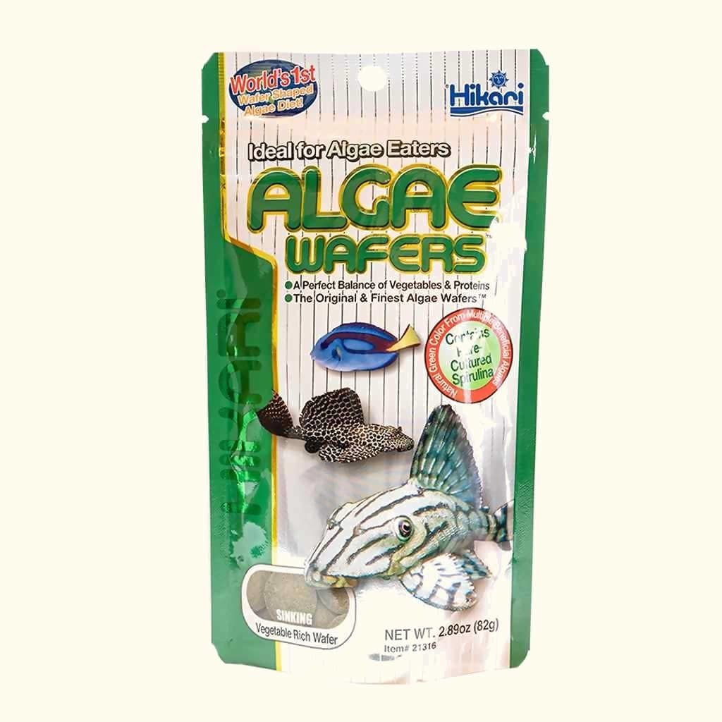 Paquet de nourriture coulante pour poissons Hikari Algae Wafers pour mangeurs d'algues