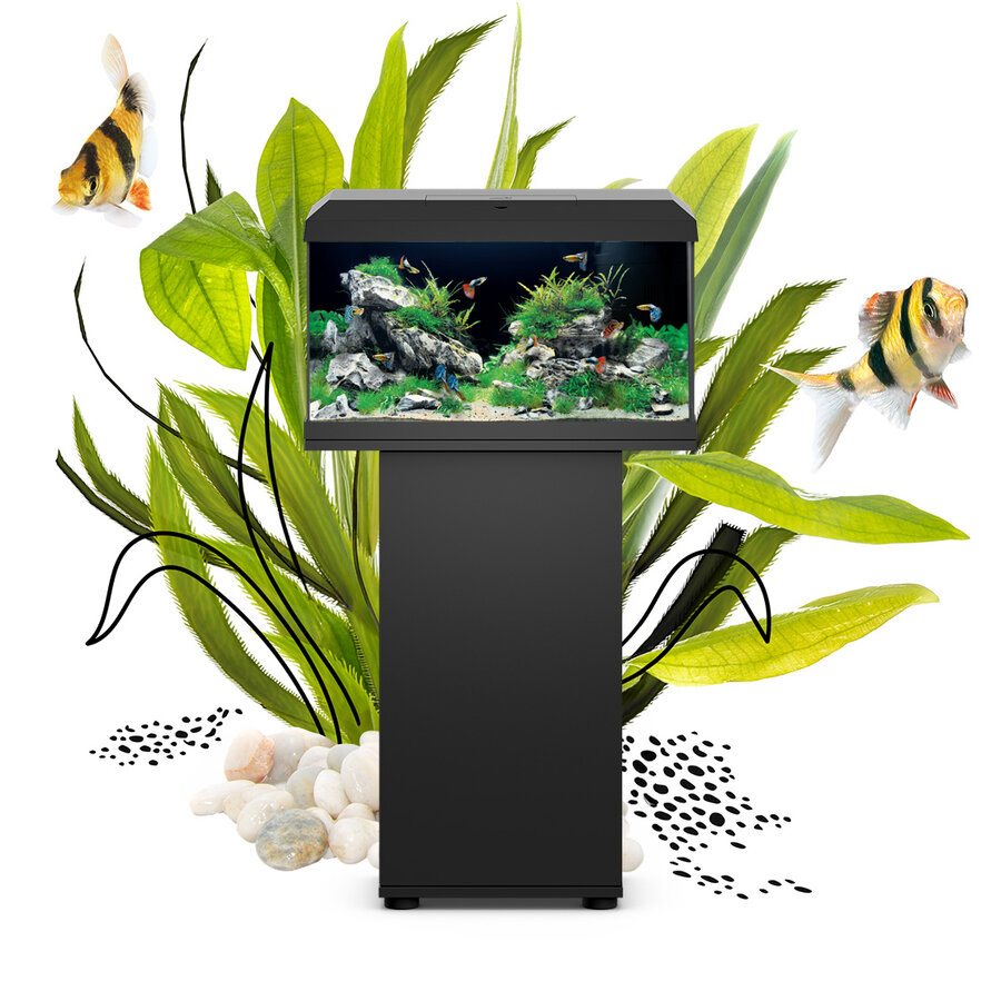 Aquarium LED Juwel Primo 70 en noir avec couvercle et filtration intégrée