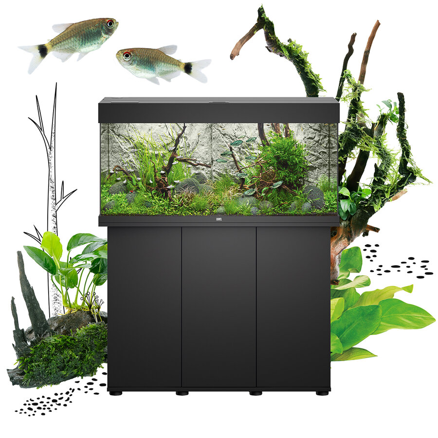 Aquarium LED Juwel Rio 180 en noir sur meuble assorti avec aquascape planté