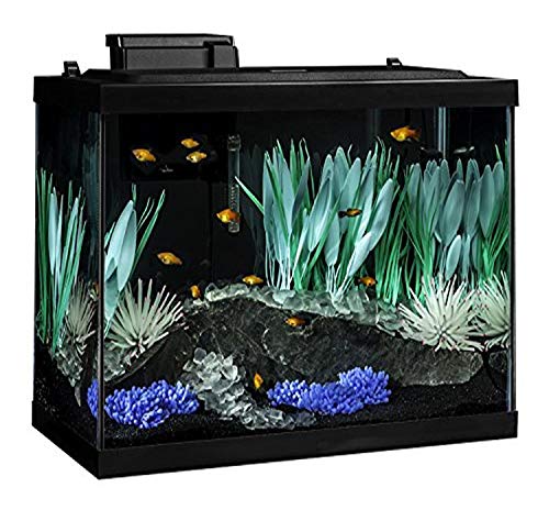 Kit d'aquarium Tetra ColorFusion 20 gallons 75 litres avec LED à couleurs changeantes et filtre Whisper